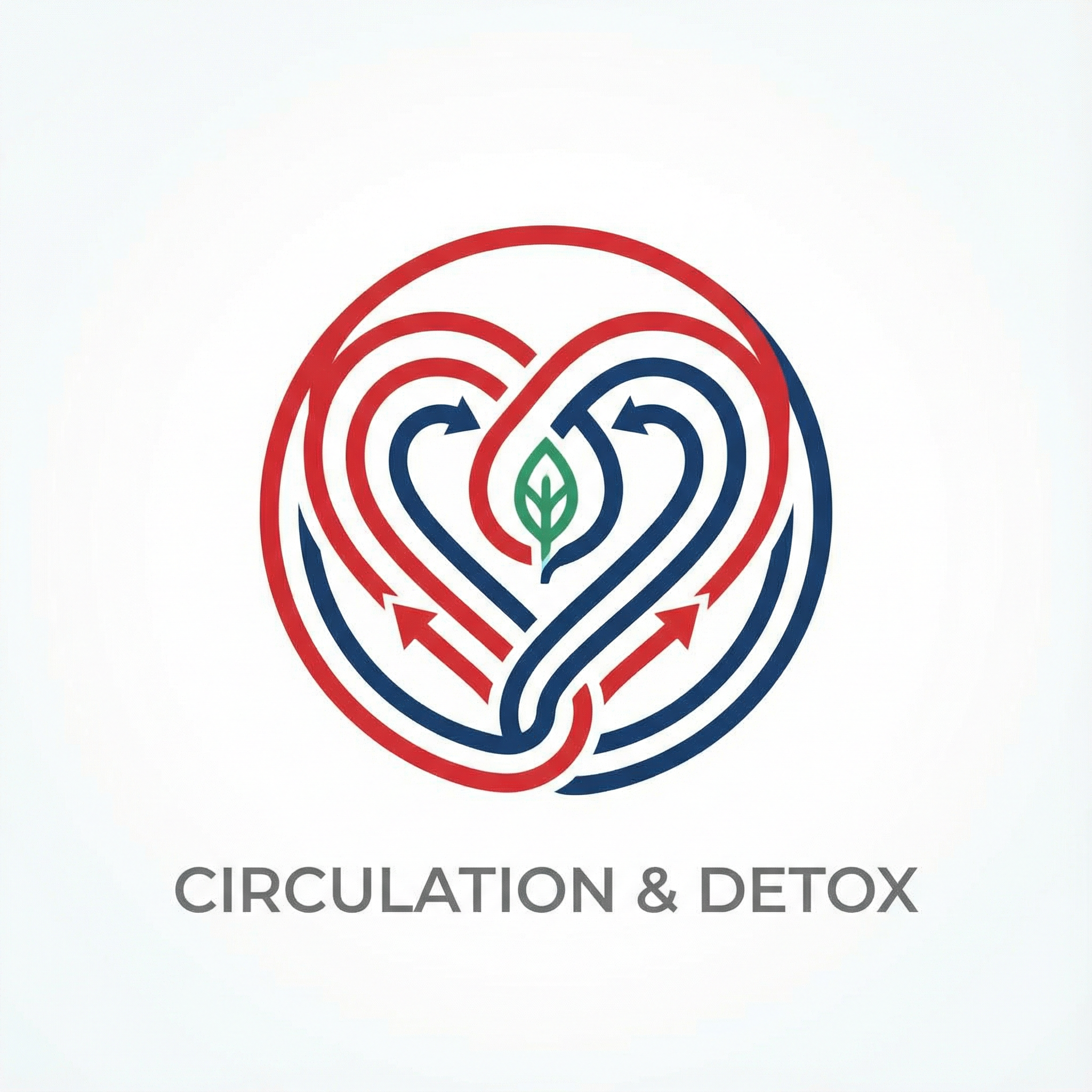 생명의 샘, 순환과 해독